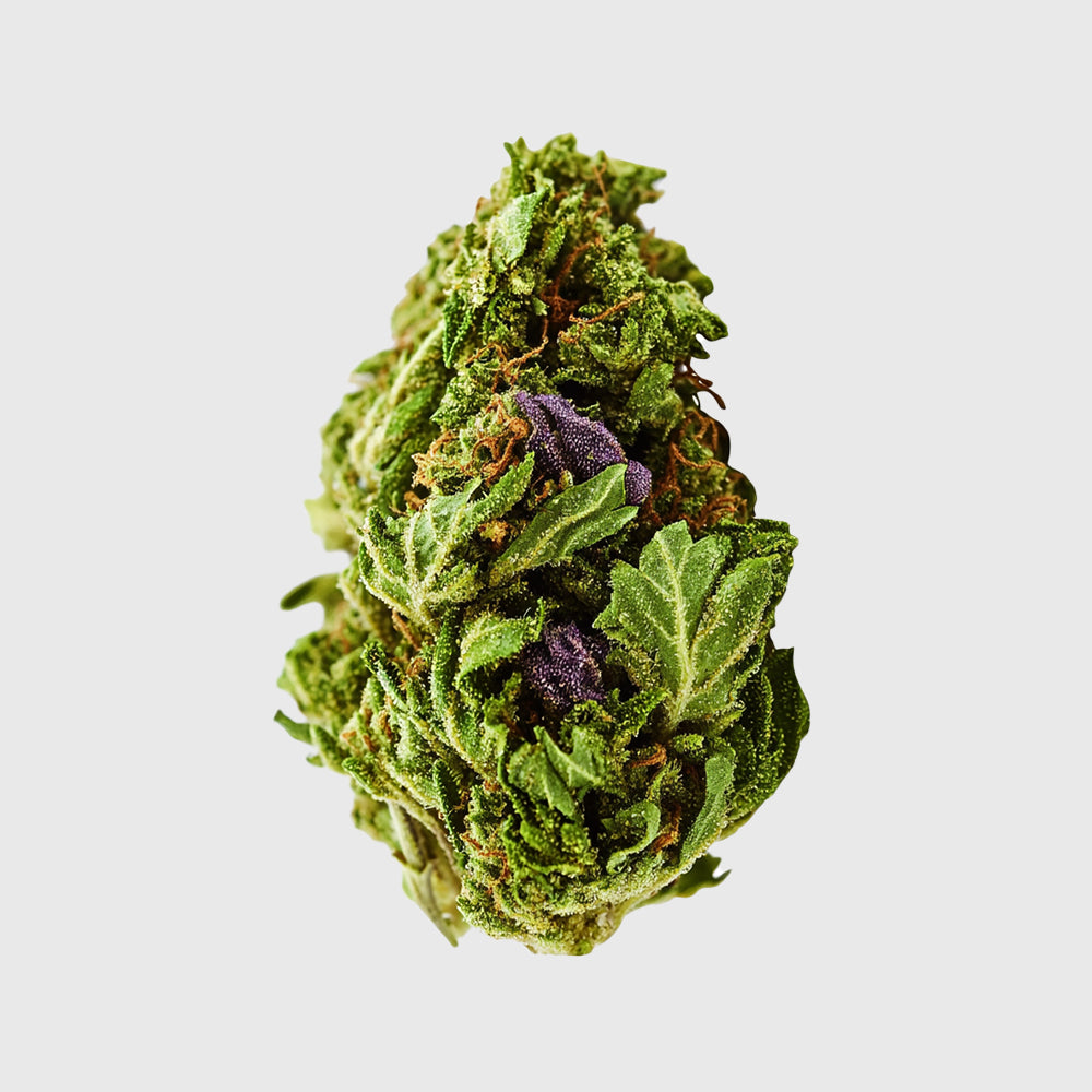 BLUEBERRY DREAM FLOWER