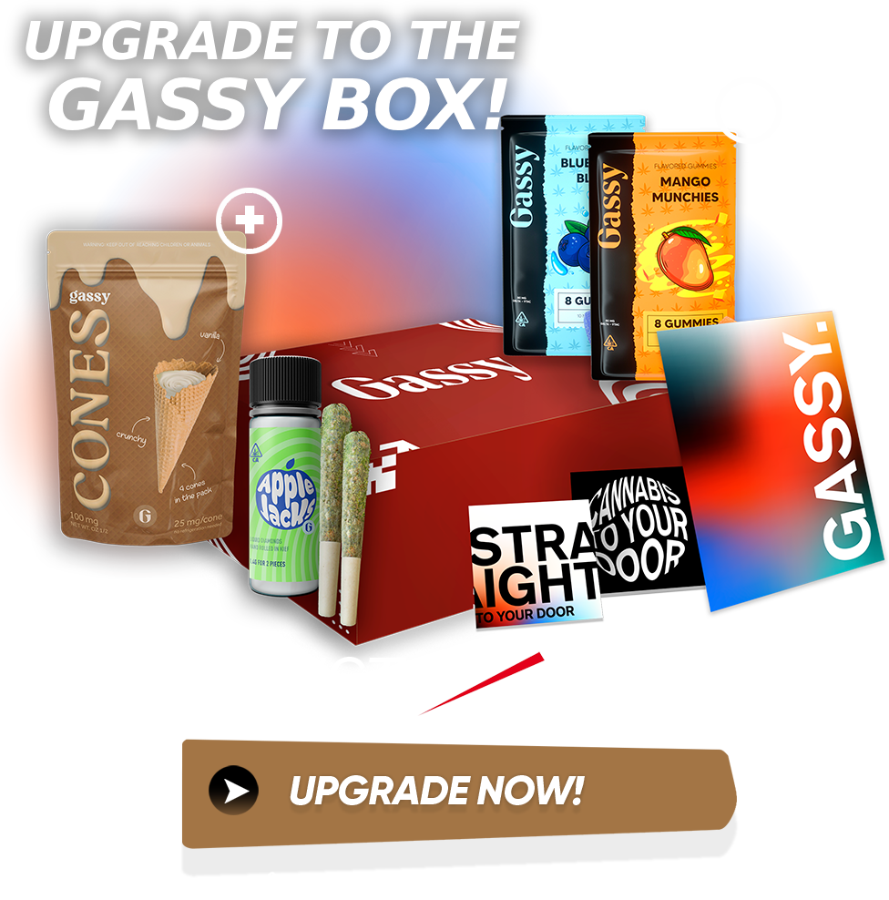 Gassy Box Promo