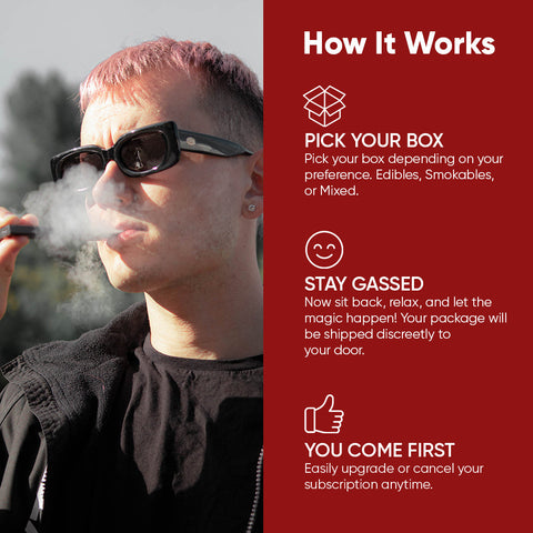 Cajas para fumar Gassy Box V2