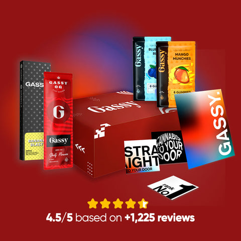 Cajas para fumar Gassy Box V2
