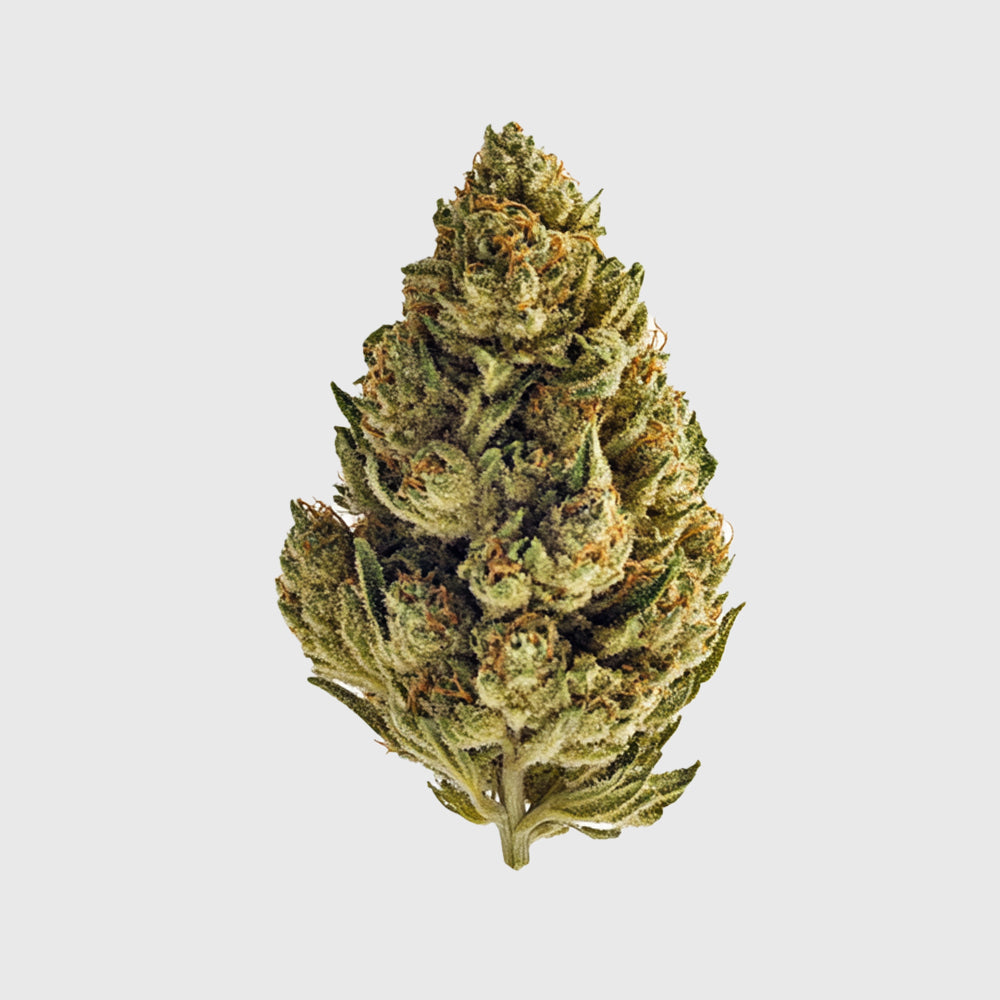 FLOR DE HELADO ROSA
