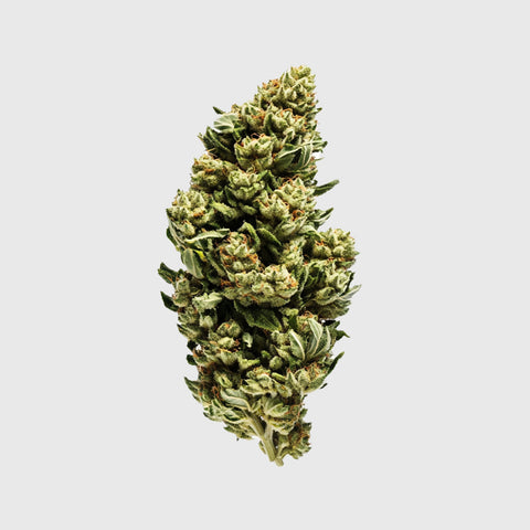 FLOR DE PIÑA EXPRESS