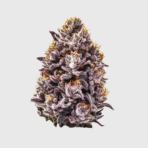 FLOR DE TORTA DE FRESA